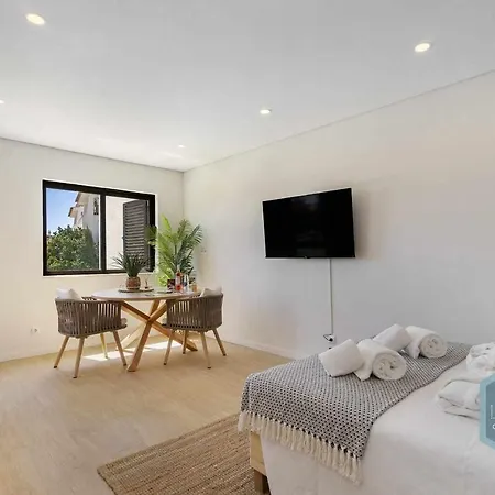 Palm Tree Dream Apartment *